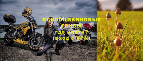 гашик Алзамай