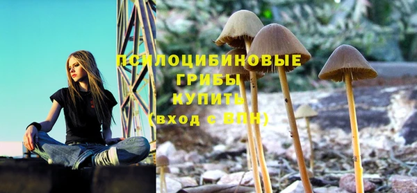 скорость Алексин