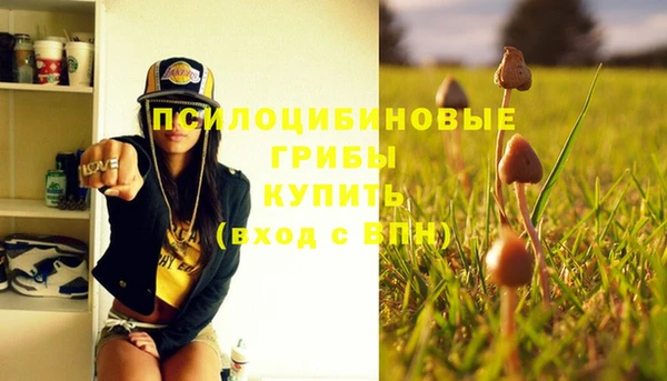 спиды Осинники