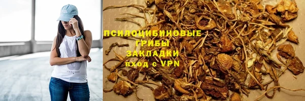 гашик Алзамай