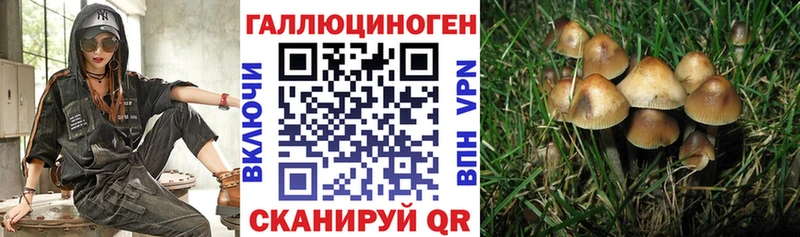 Галлюциногенные грибы мухоморы  Новороссийск 