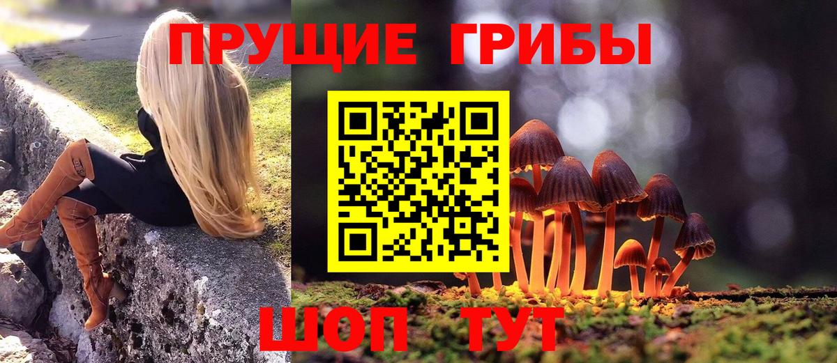 Псилоцибиновые грибы GOLDEN TEACHER  Псилоцибиновые грибы мухоморы  Новороссийск  Вход с VPN 