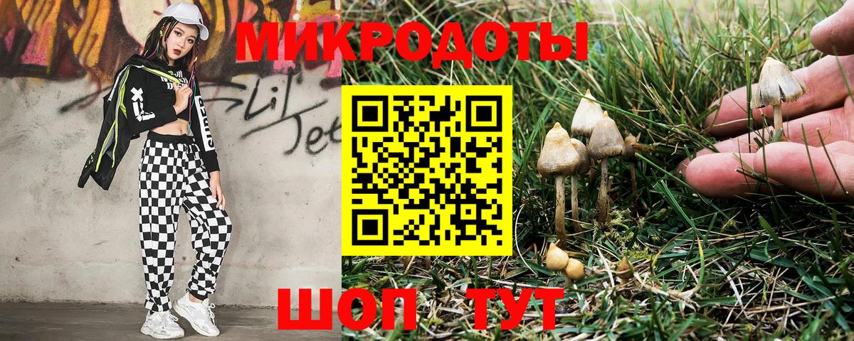 Псилоцибиновые грибы Cubensis Новороссийск