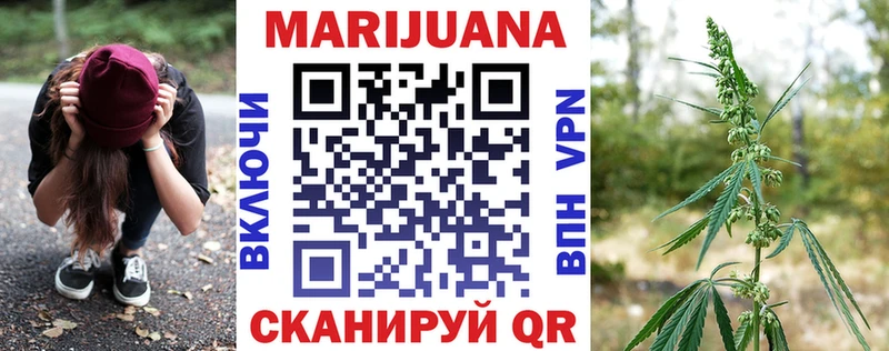 где можно купить наркотик  Новороссийск  Канабис гибрид 